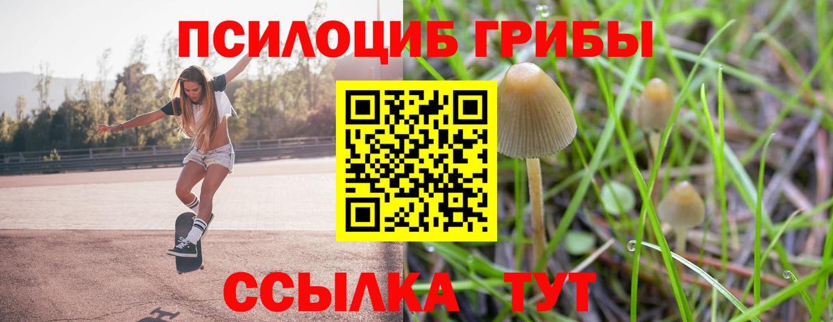 Галлюциногенные грибы Cubensis  Галлюциногенные грибы прущие грибы  Краснодар  Вход с VPN 